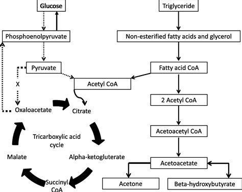 beta hydroxybutyrate in dka|Diabetic Ketoacidosis .